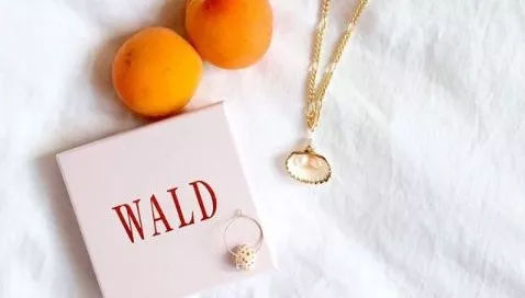 托特包推荐小众轻奢,好看又小众的饰品推荐