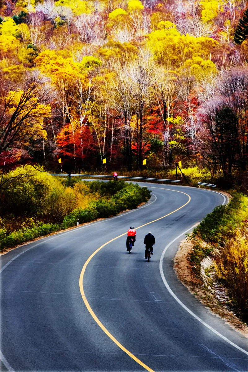 敦化寒葱岭红叶谷风景,吉林红叶最新视频