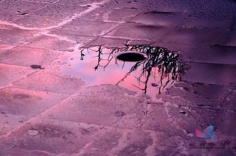 泰国清迈登革热最新情况,泰国登革热前期症状