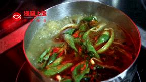 过气网红要凉凉?渔遇上鱼告诉您有实力的网红从不会过气!