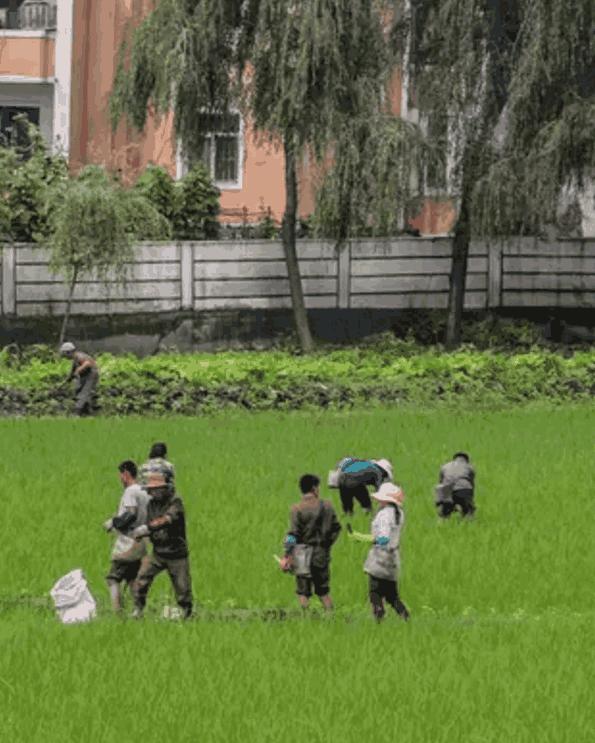 朝鲜农村自然风景,朝鲜原生态村庄