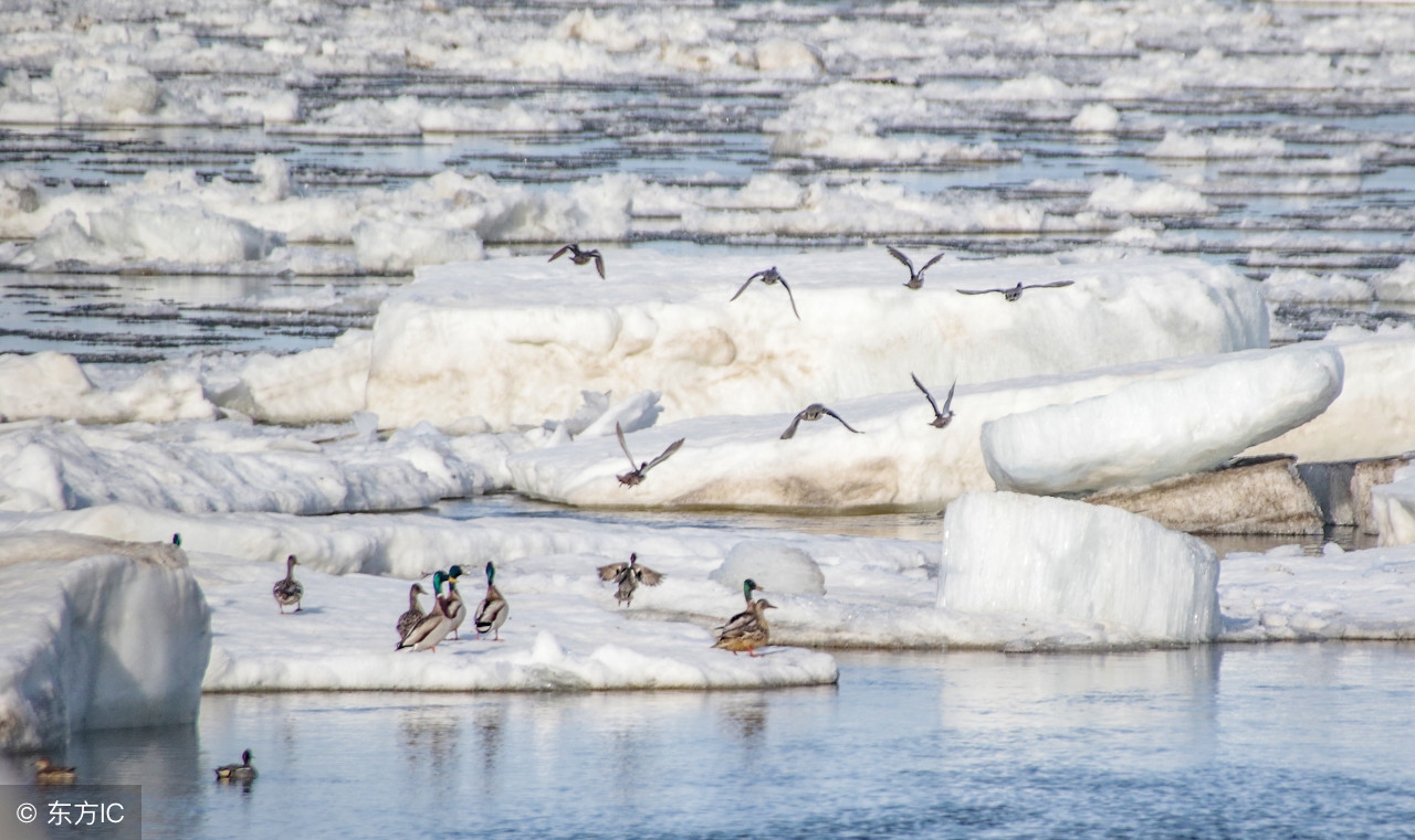 浣犲惉璇磋繃楠ㄧ伆鎴垮悧,浣犲惉杩囨埧瀛愬0闊冲悧