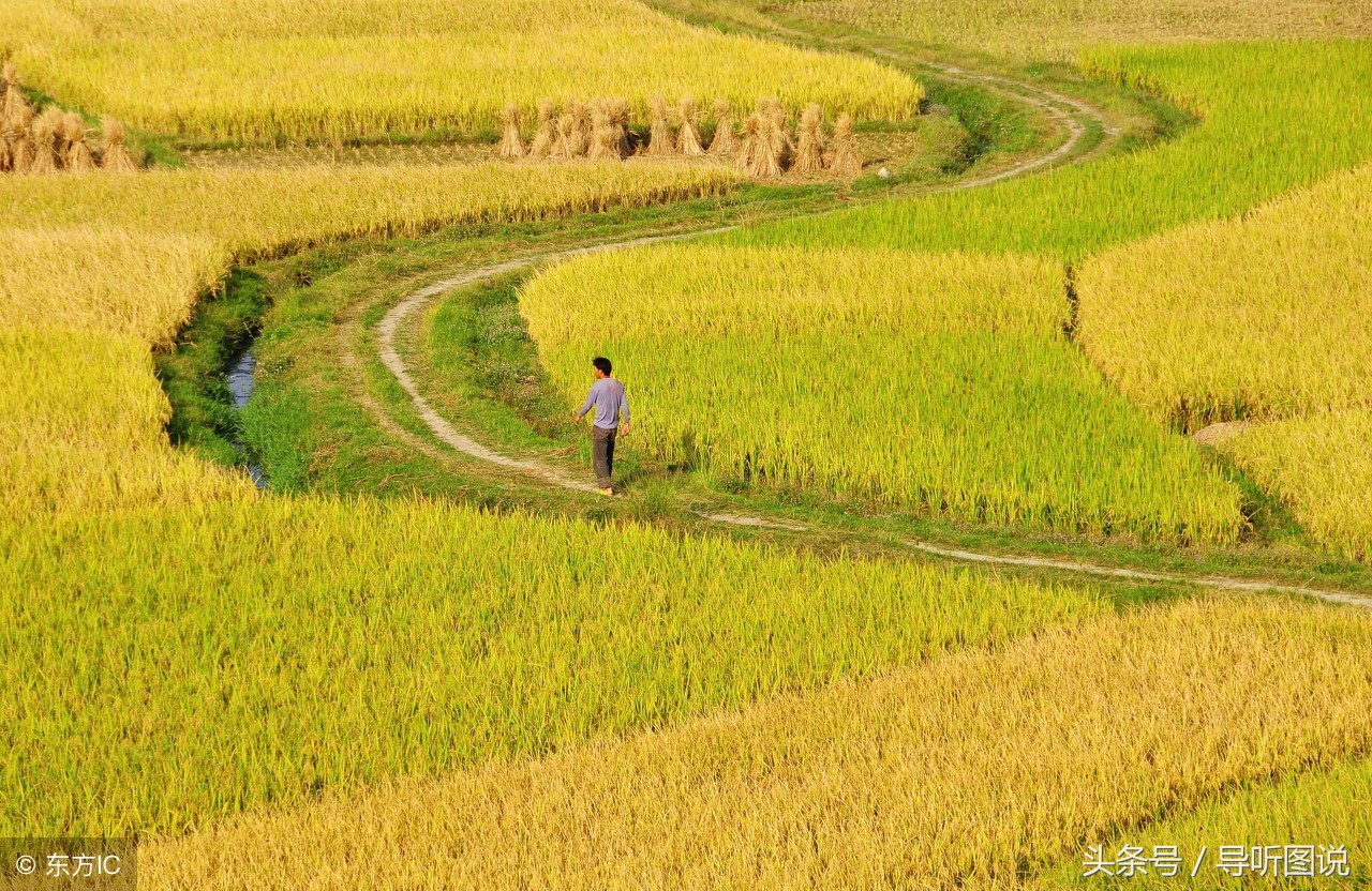 过得苦没有福报，是因为您还未看懂此文您前辈子有没有……