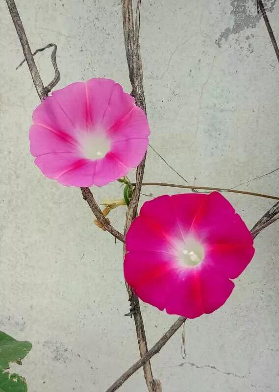 手拍世界作品集402期,手拍世界完整版视频