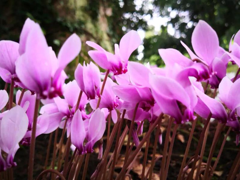 手拍世界作品集402期,手拍世界完整版视频