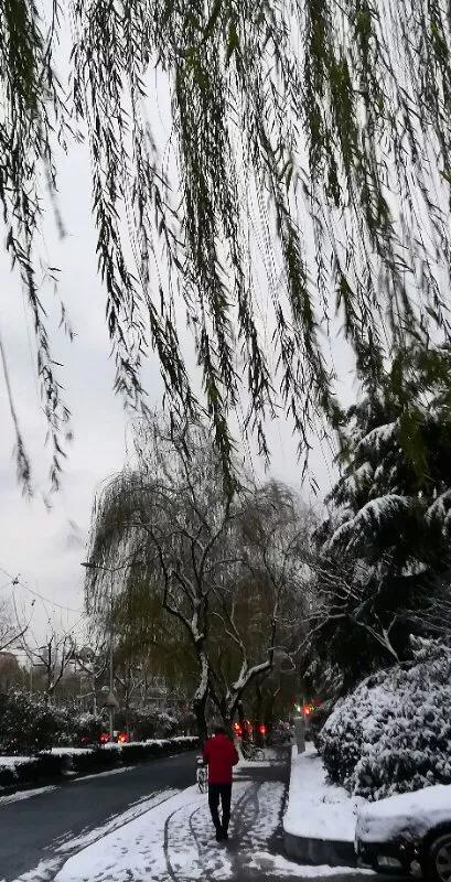 手拍世界作品集402期,手拍世界完整版视频