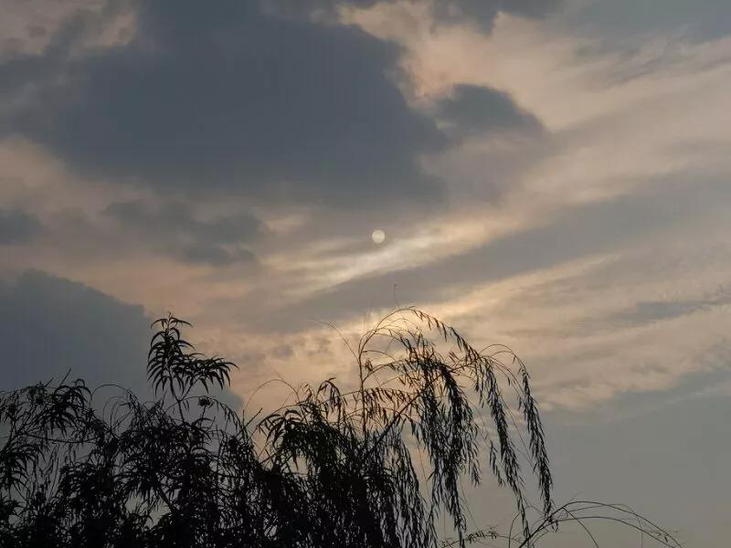 手拍世界作品集402期,手拍世界完整版视频