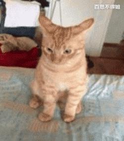 晋城高铁可以去香港吗,晋城通香港的高铁