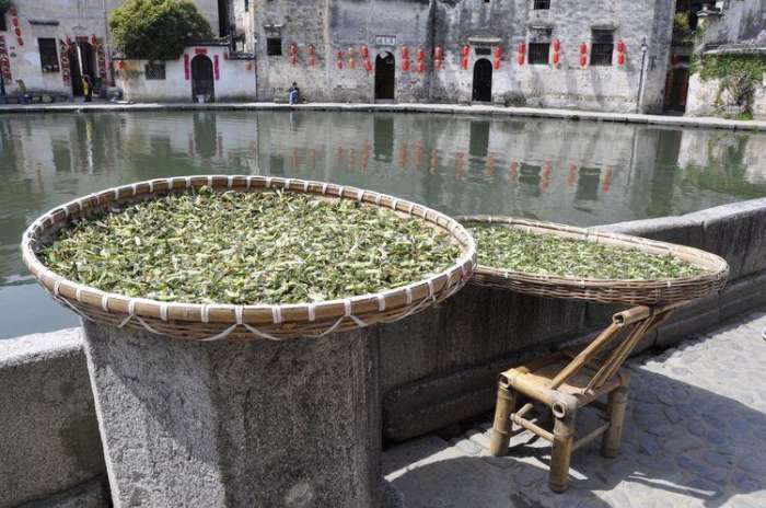 宏村旁边最美的村,安徽宏村古村旅游