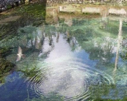 世界第一治病的温泉,法国治疗癌症的泉水