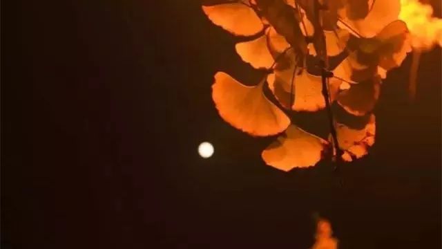 带有月亮的古诗词100首,10个关于月亮的简单古诗