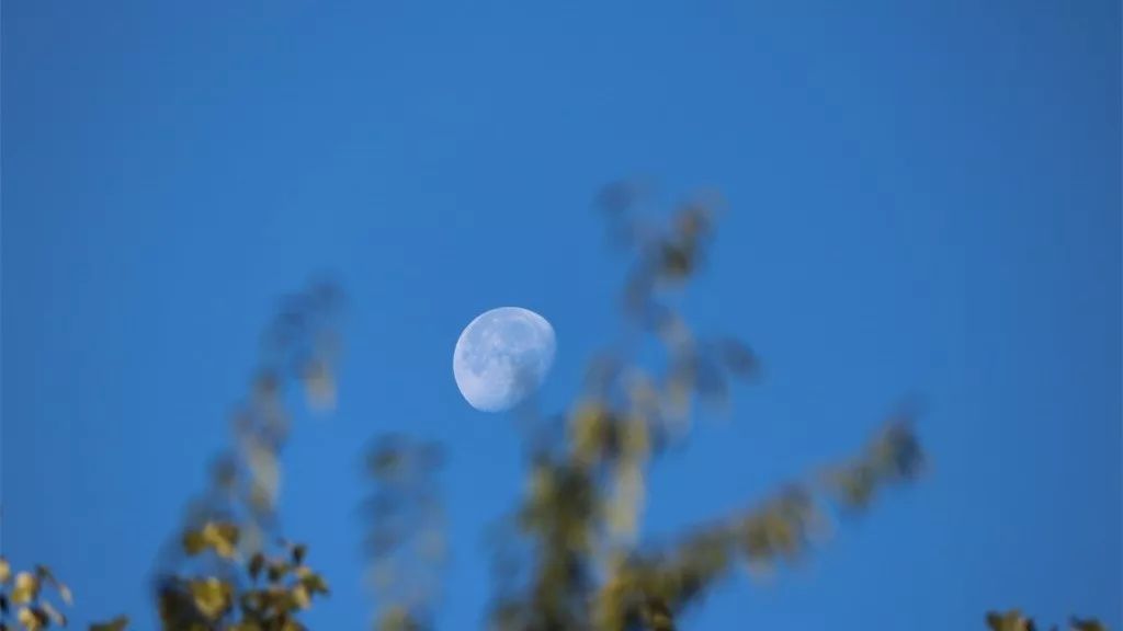 带有月亮的古诗词100首,10个关于月亮的简单古诗