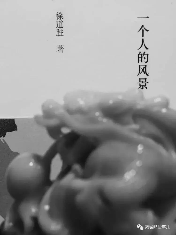 闫辉：老徐的人生轨迹，一个人的风景，一个人的梦