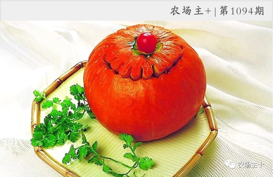 鱼翅瓜种植基地图片,鱼翅瓜种植视频