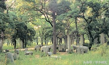 孔子家谱讲解,孔子家谱世界之最