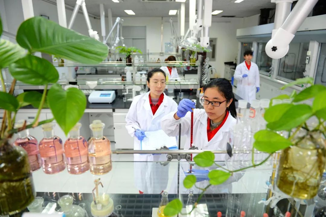 中国石化校园招聘官网春招,2020中国石化校园招聘3500人公告