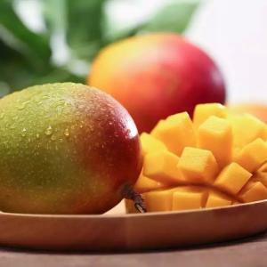 攀枝花农博会 (攀枝花农博会现状)