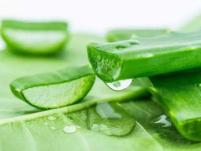 一条拼团|富含金缕梅精华的爽肤水,全能养护洗发水725g