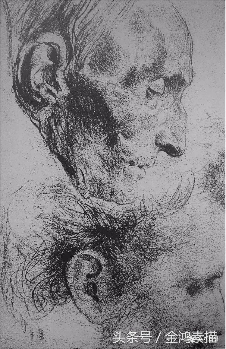 挪威女性素描画家,素描最厉害的画家