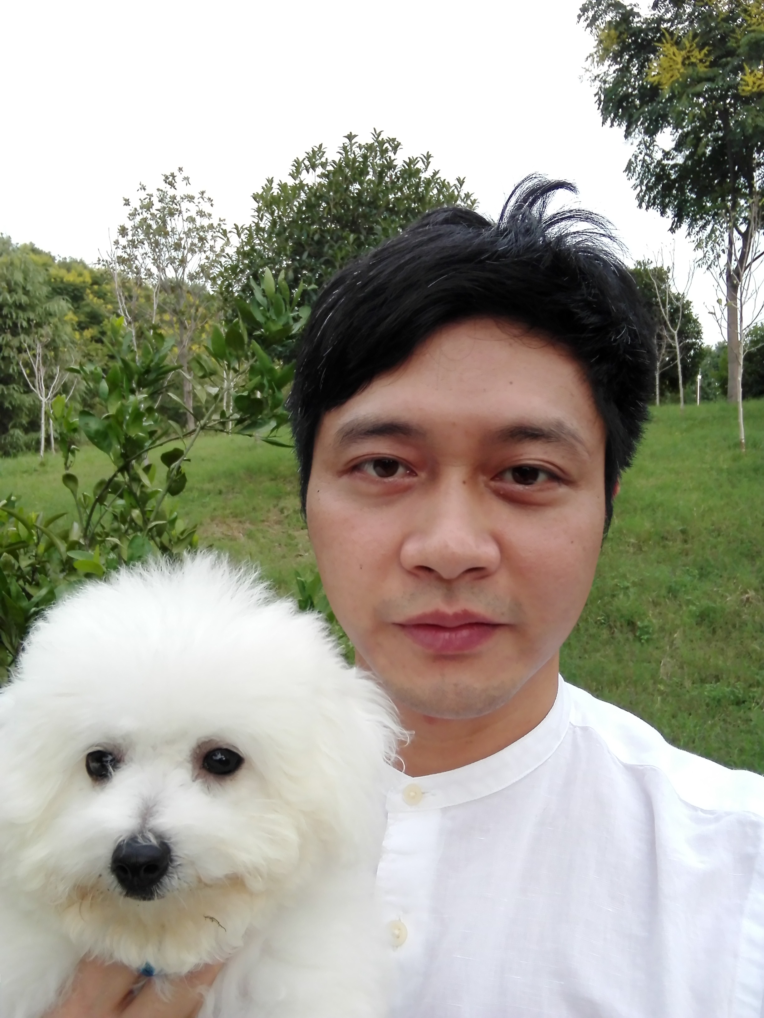 芥末山葵辣根植物区别,芥末山葵辣根区别价格差多少