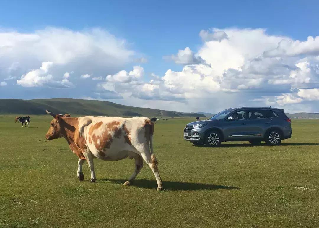 开19款1.6t豪华版瑞虎8自驾游 (瑞虎8四驱烂泥路越野测试)