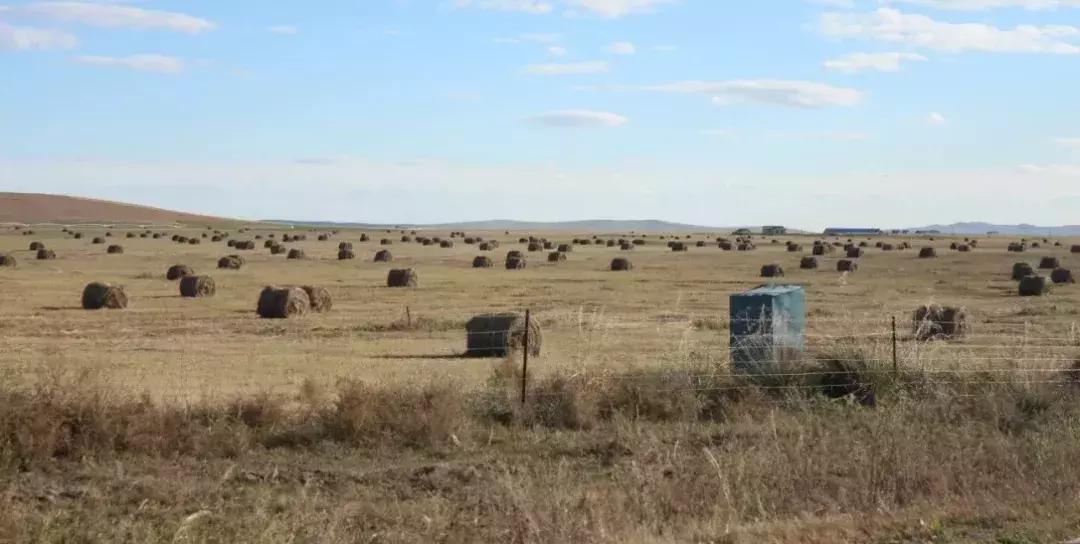 开19款1.6t豪华版瑞虎8自驾游 (瑞虎8四驱烂泥路越野测试)