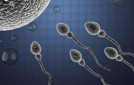 生男生女传言大全,生男生女真的是随机吗