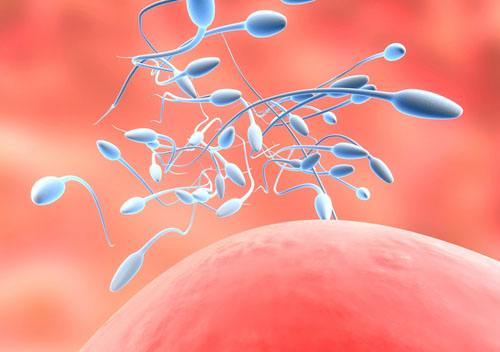 生男生女传言大全,生男生女真的是随机吗