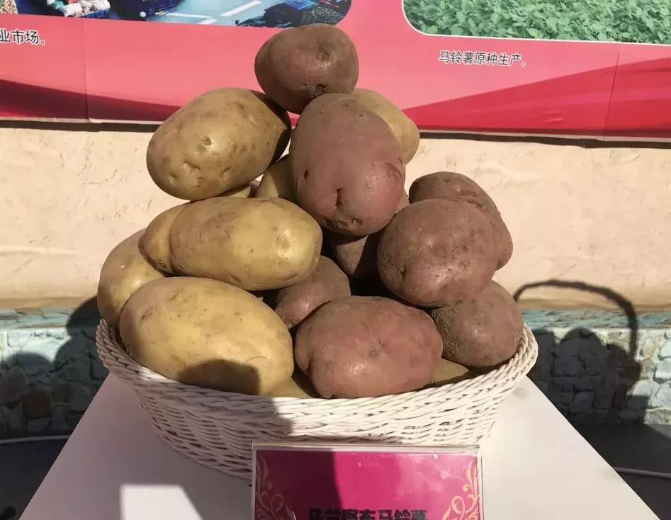 北京丰收节主会场,首届丰收节主会场