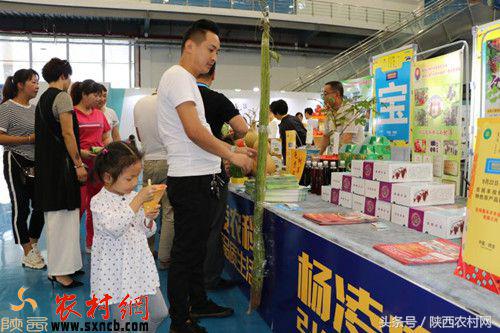 树莓的优良品种,最珍稀水果排名