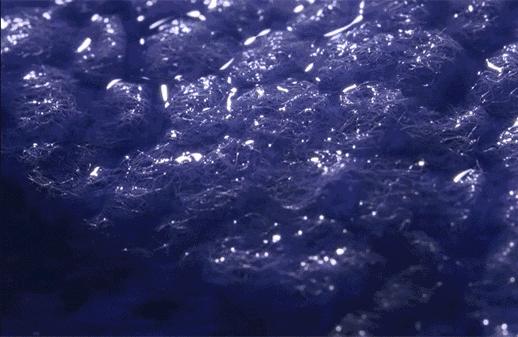 怎么辨别花王纸尿裤真假,大王纸尿裤二维码辨真假