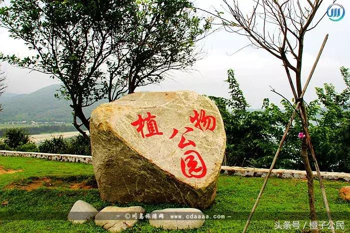 川岛旅游攻略2天一晚,广东省台山市川岛镇下川岛