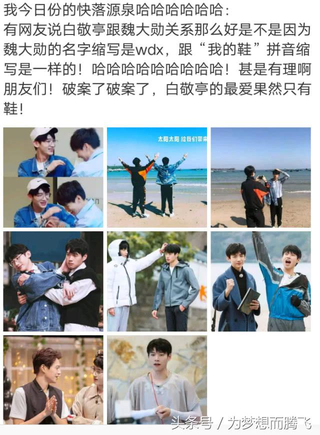 山花cp为什么这么火,山花cp上过的综艺