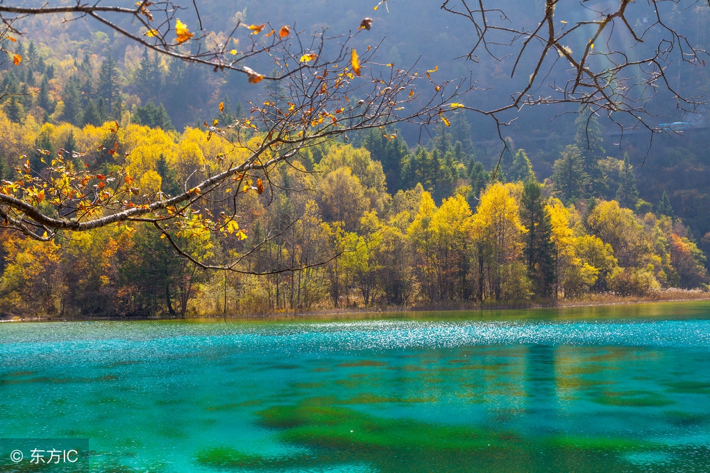 纳兰性德的悼亡诗名句,纳兰性德十首最著名诗