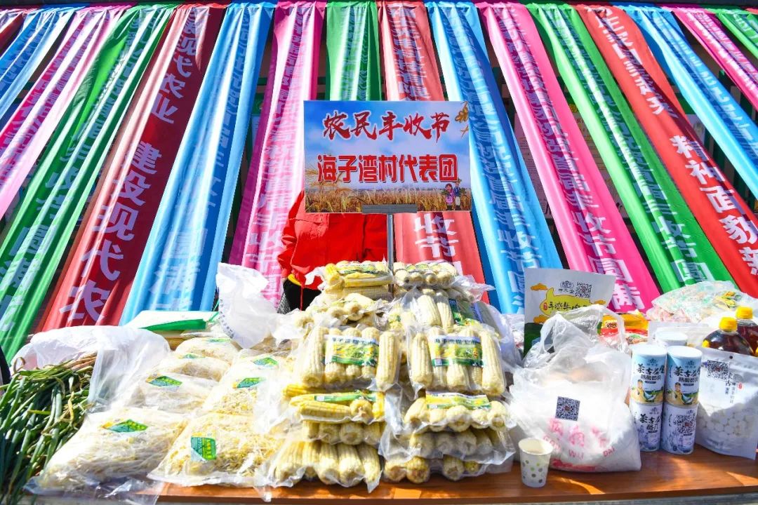 现场太火爆！看东胜区折家梁村如何庆丰收！