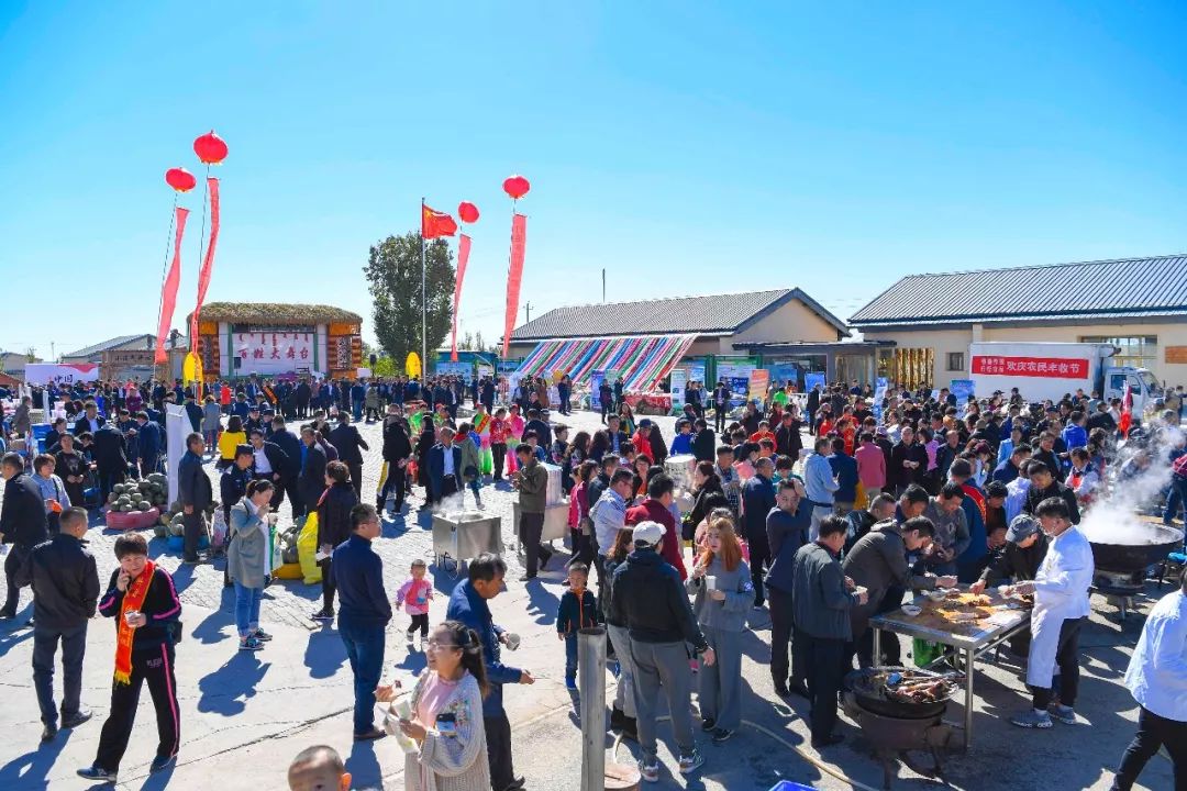 现场太火爆！看东胜区折家梁村如何庆丰收！