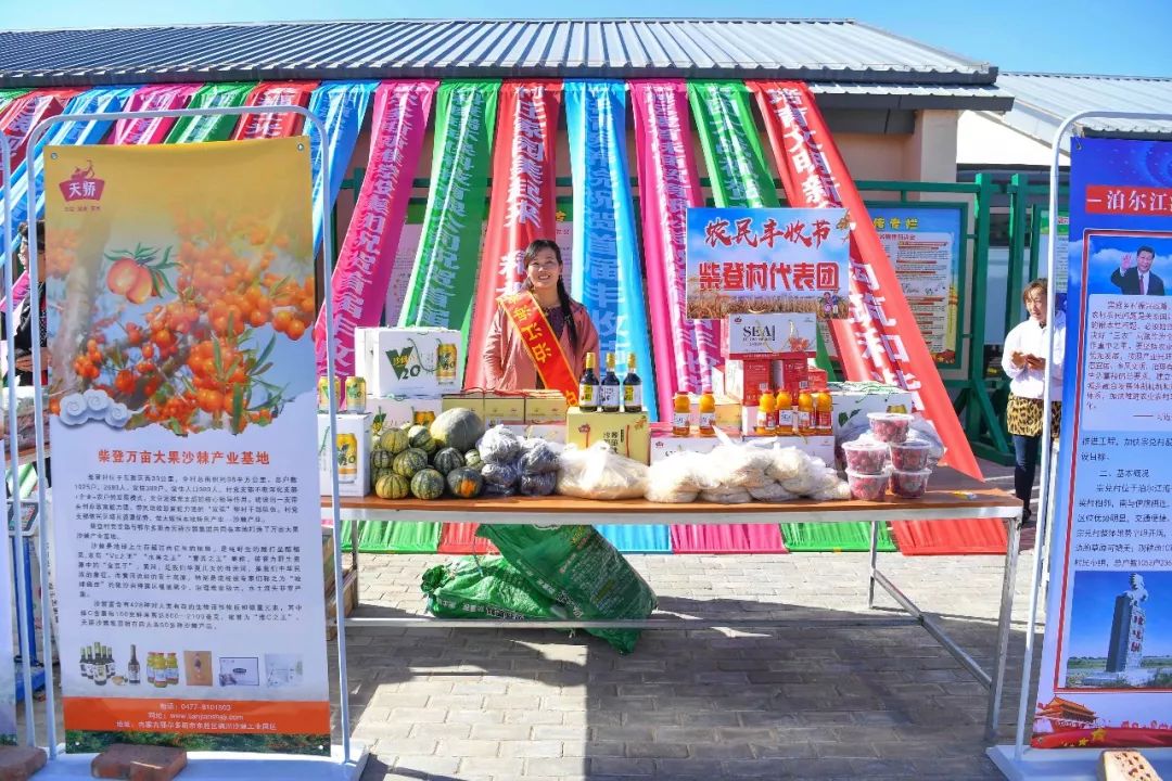 现场太火爆！看东胜区折家梁村如何庆丰收！