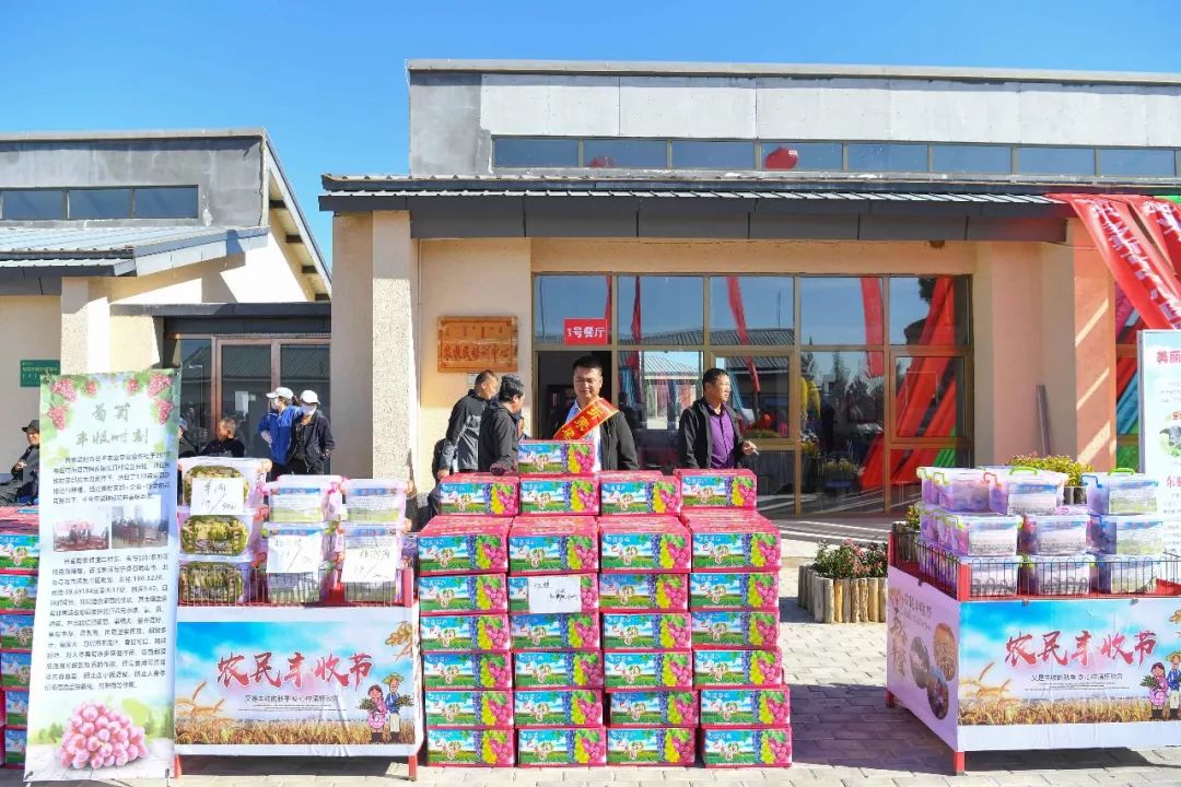 现场太火爆！看东胜区折家梁村如何庆丰收！