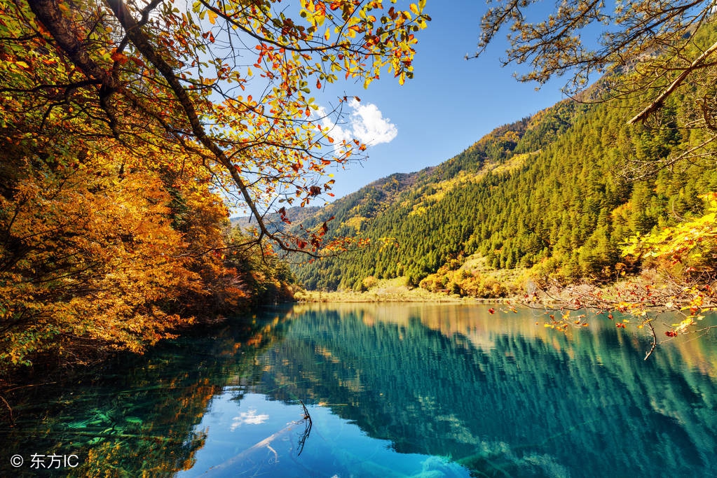 纳兰性德的悼亡诗名句,纳兰性德十首最著名诗