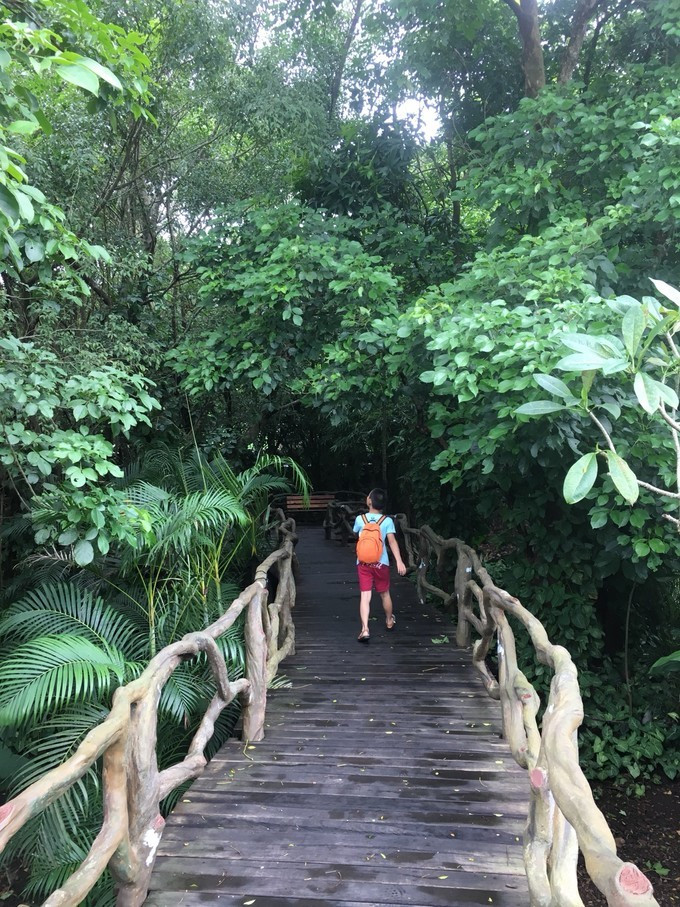 海南吃喝玩乐全攻略海口美食篇,海口旅游攻略美食路线推荐