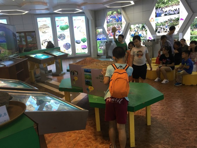 海南吃喝玩乐全攻略海口美食篇,海口旅游攻略美食路线推荐