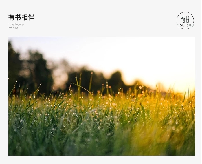 “使用蓝色洁厕块相当于自杀”，这是谣言还是确有其事？