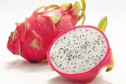 手账本简笔画可爱教程新手,6-12岁儿童绘画简笔画水果