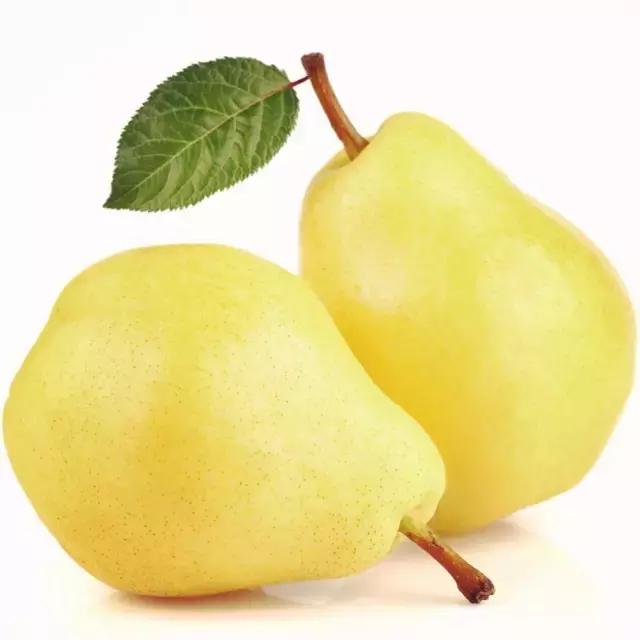 手账本简笔画可爱教程新手,6-12岁儿童绘画简笔画水果