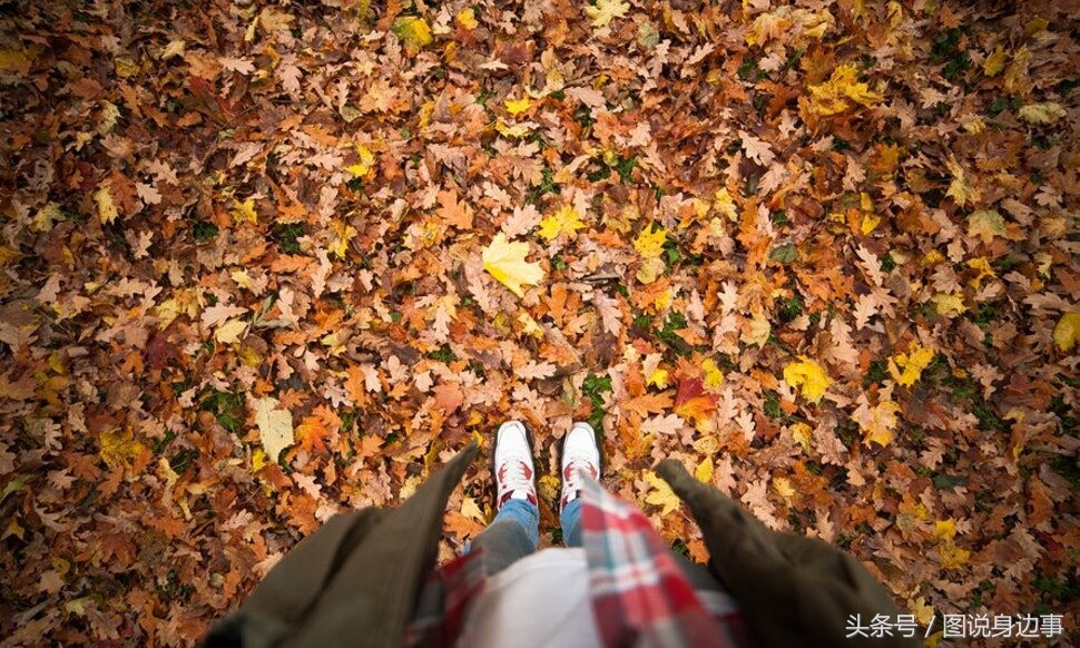秋的句子短句,秋是一个充满诗意的季节