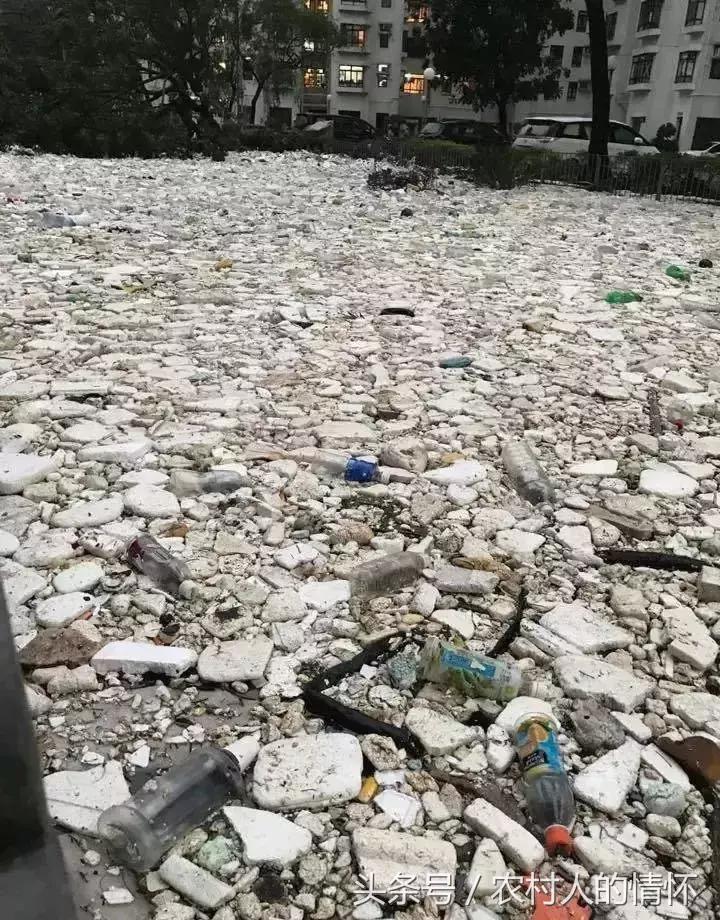 “三竹”过后真正的报应来了