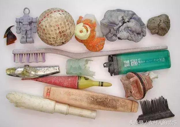 “三竹”过后真正的报应来了