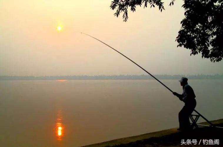 野钓大鱼必须改掉的五个毛病,钓大鱼最佳断线方法