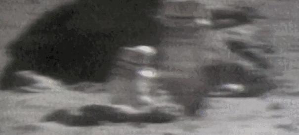 如果月球倒在地球上会是什么样呢,月球没掉的瞬间地球会发生什么