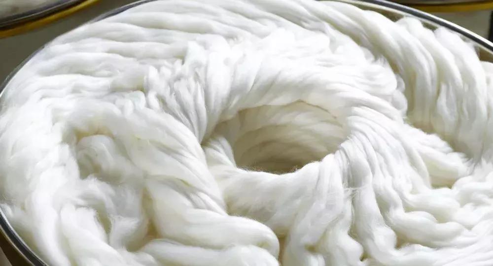 贝拉哈迪德穿深v套装,贝拉哈迪德夏季开衫